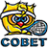совет