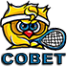 совет