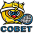 совет