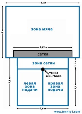 корт для жингбола