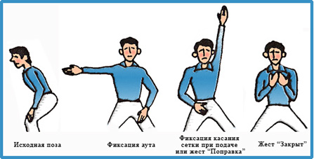 ПОЗЫ И ЖЕСТЫ линейного судьи в теннисе